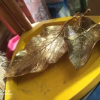ست پذیرایی گلد نو