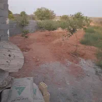 باغ