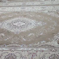 فرش|فرش|تربت جام, والفجر|دیوار