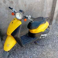 پاکشتی در حد نو