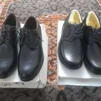 کفش مردانه تمام چرم کاوی