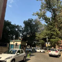 مغازه-پل-صدر-120-متر-بر-17-سقف-3و-نیم-کافه-سوپر
