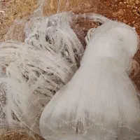تور ماهیگیری