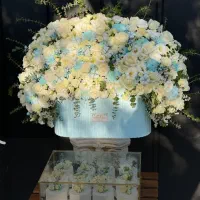 flower|گل و گیاه طبیعی|کاشان, پامنار|دیوار