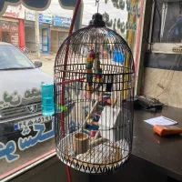 قفس با آویز و کل لوازم
