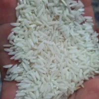 برنج درجه یک هاشمی بدون خورد