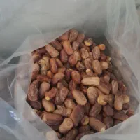 خرما|عمده‌فروشی|سراوان, |دیوار