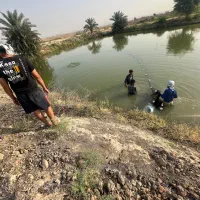 کارگر کار بلد پرورش ماهی