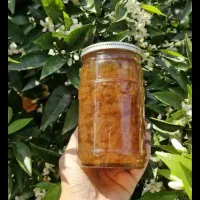 مربا بهار نارنج خوش مزه پر  عطر