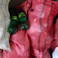 بطری نوشابه  شیشه لیموناد
