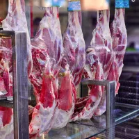 گوشت درجه یک ارزان در قصابی مجید آگهی رو بخون