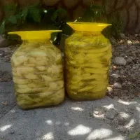 ترشی بیلهر