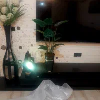 گل مصنوعی پربرگ پلمپ شده ۱۷۰۰ همین یک دونه مونده