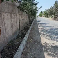 فروش-زمین-باغ-ویلا