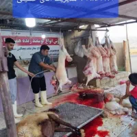 انواع گوسفند زنده ازجمله (عقیقه مصرفی خونی...