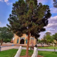 زمین راوند
