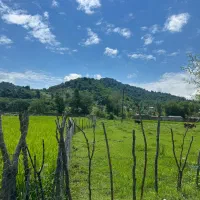زمین ۵۰۰ متر روستای دارباغ