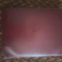 کیف گمشده