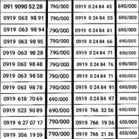 0919-919-918-918|سیم‌کارت|سنندج, |دیوار