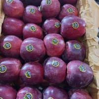 کود ارگانیک  سبوسیب