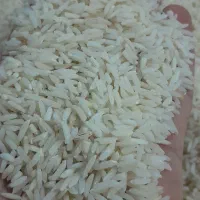 برنج هاشمی اصل