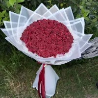 تولد