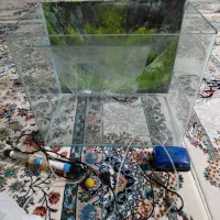 اکواریوم