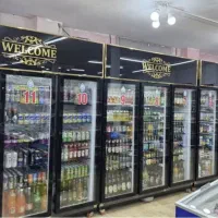 یخچال|فروشگاه و مغازه|مشهد, خین عرب|دیوار
