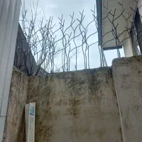 حفاظ،نرده،شاخ گوزنی