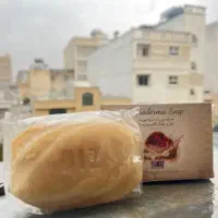نمایندگی رسمی محصولات گانودرما صابون (اصل)
