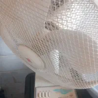 پنکه