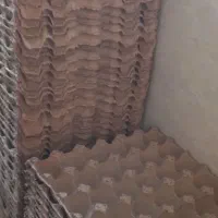 شانه تخم مرغ