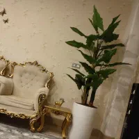مبلمان