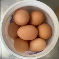 تخم مرغ محلی
