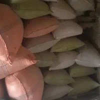 کاه خارشتری|خدمات باغبانی و درختکاری|مشهد, تبادکان|دیوار