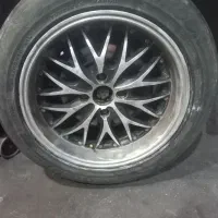 رینک سایز ۱۶ نر ماده گوزنی