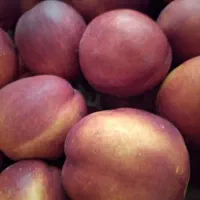 خریدوتهیه میوه مجالس ومیهمانی خودرابه مابسپارید