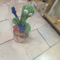 کاکتوس سخنگو