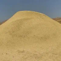 کاه جو تازه تحویلی