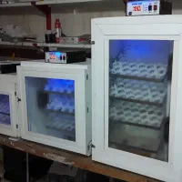 دستگاه جوجه کشی