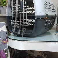 باکس سگ وگربه