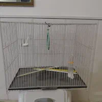 فروش قفس پرنده