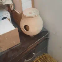 قفس غلامی و لانه