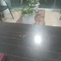 فایل 5