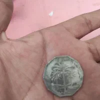 سکه یک دیناری کمیاب عراقی