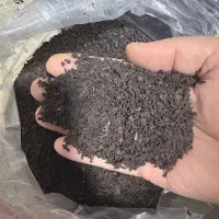 فروش چای بهاره