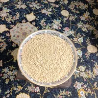 نخود زرین درجه یک