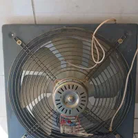 فن دمنده درحدنو۳تومن
