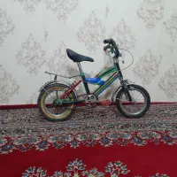 دوچرخه ۱۲ جنس توپر