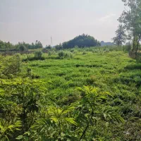 6400مترمربع-جاده-رشت-به-فومن